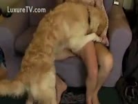 A couple fucking and their dog - Zoo Porn Dog Sex, Zoophilia-> 